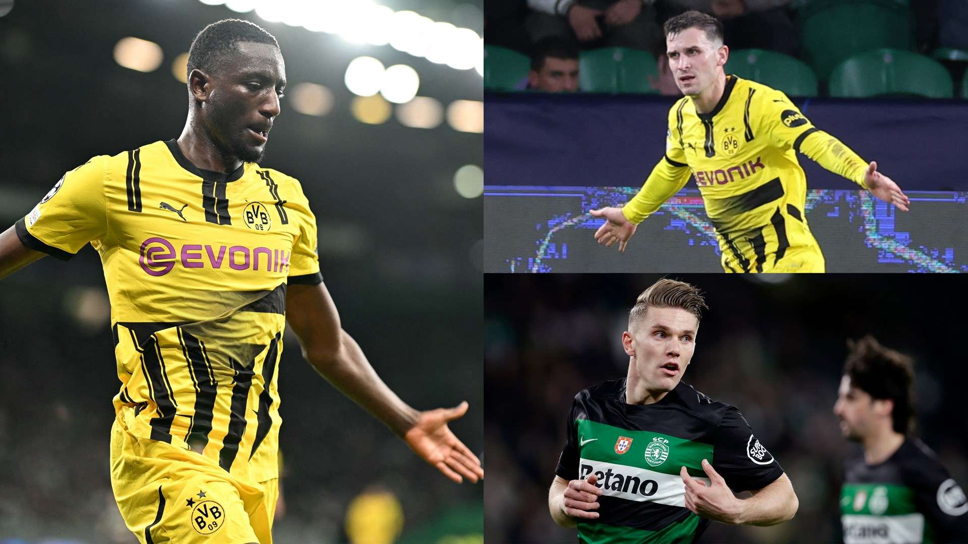 的战术需求 的战术需求