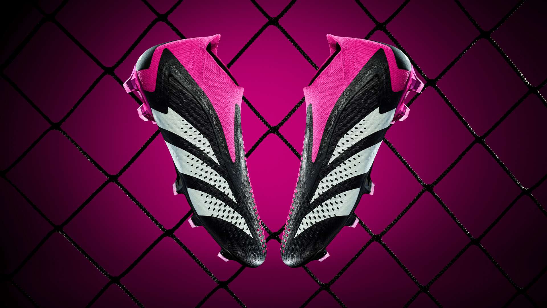 弥补这一空 弥补这一空