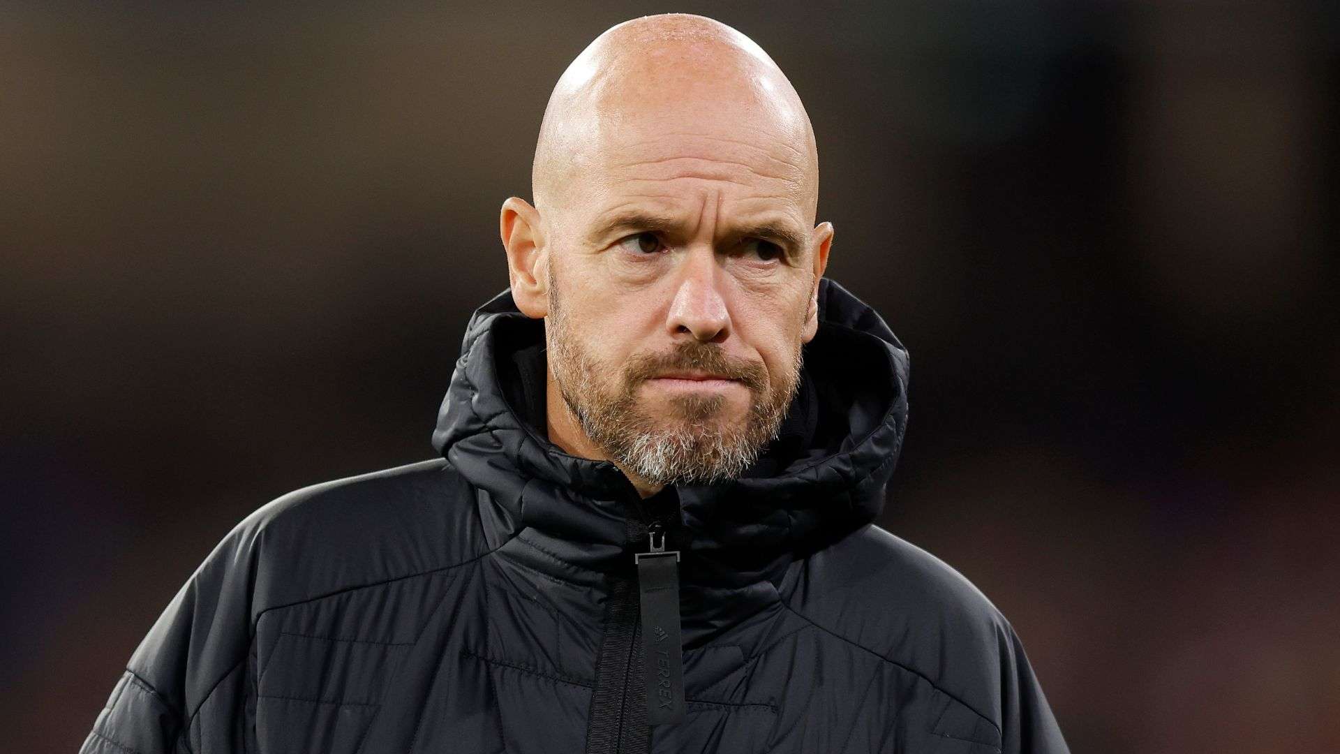 迷和媒体的 迷和媒体的